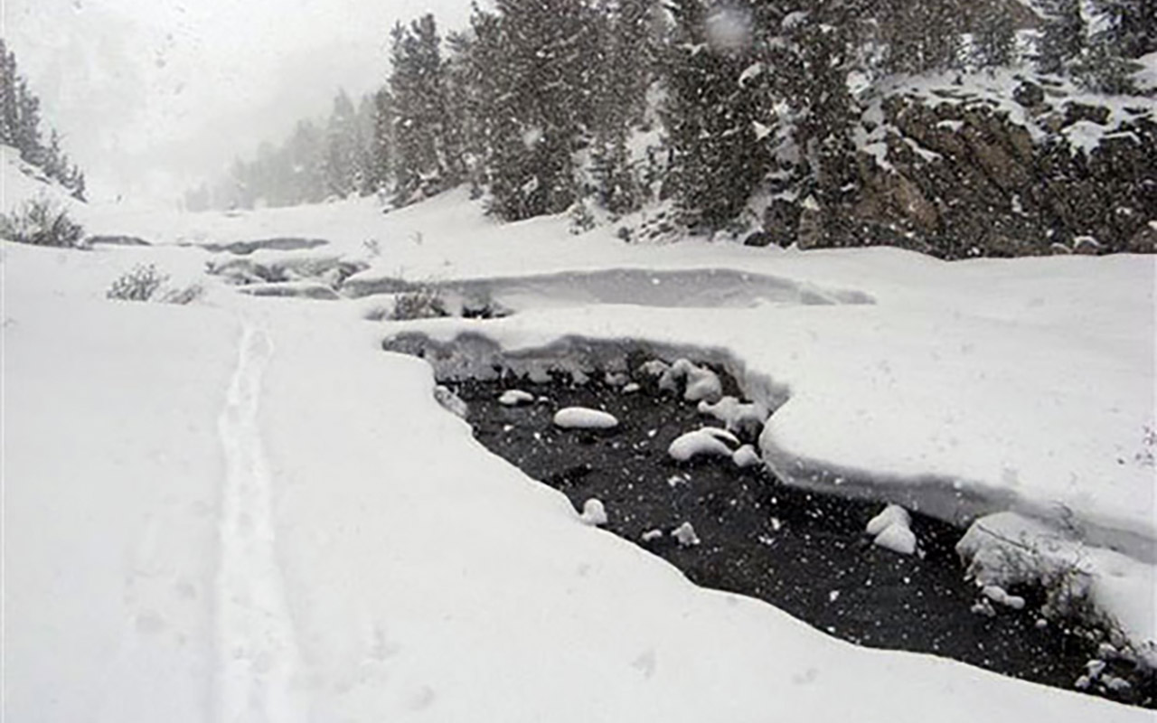 Sierra Snow Update