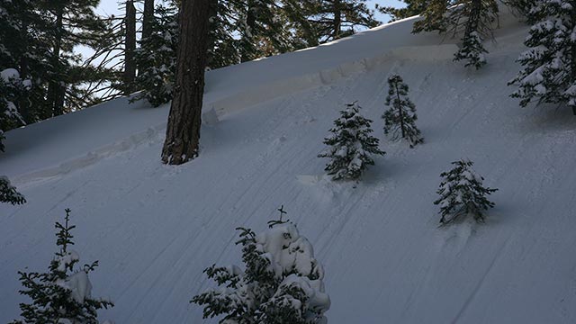 Mountain High Avalanches - Incident Report