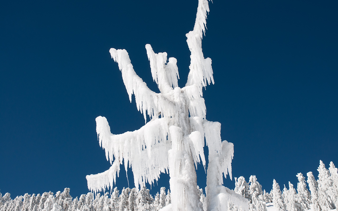 San Jacinto: Fortress of Solitude