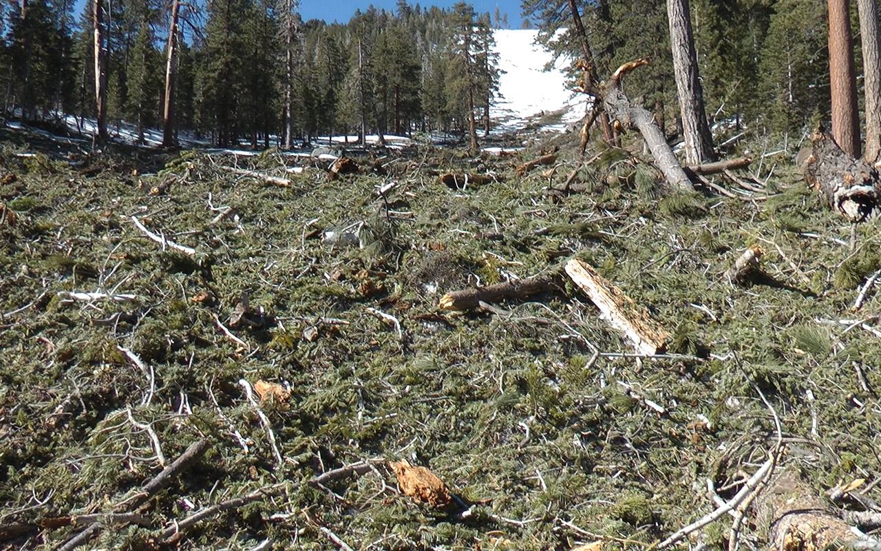 The South Fork Slide, Revisited