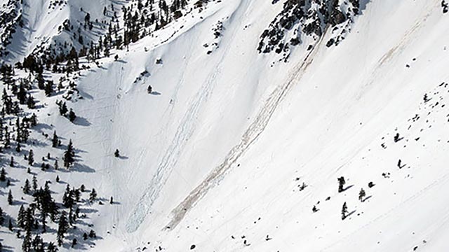 Baldy Bowl Avalanche