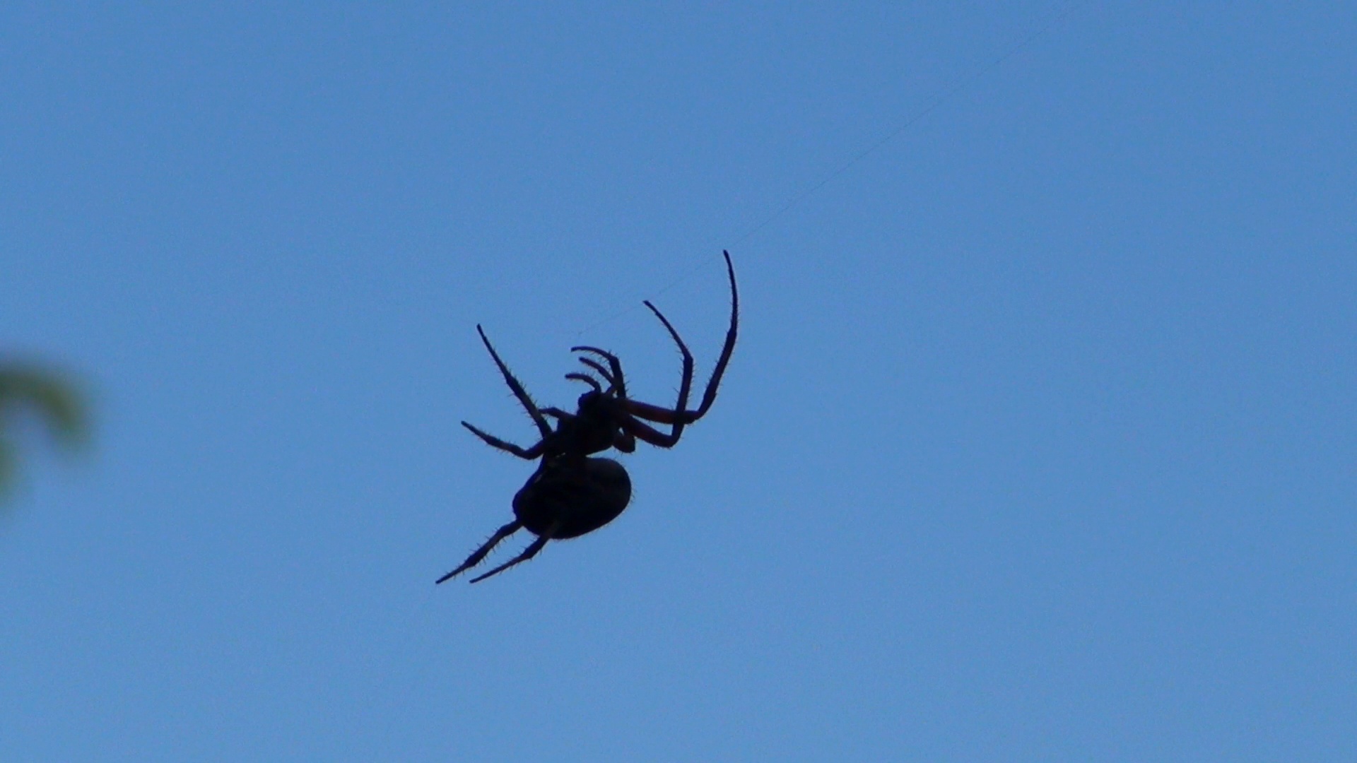 My Halloween Visitor