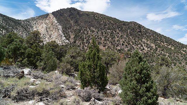 Inyo Mts: Squaw Peak