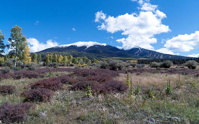 Fall Colors - Hart Prairie and the San Francisco Peaks