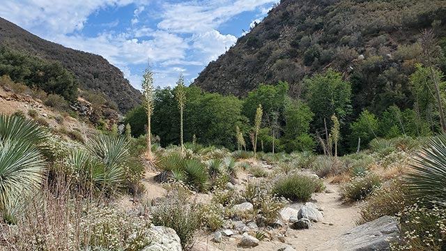 San Gabriel Canyon