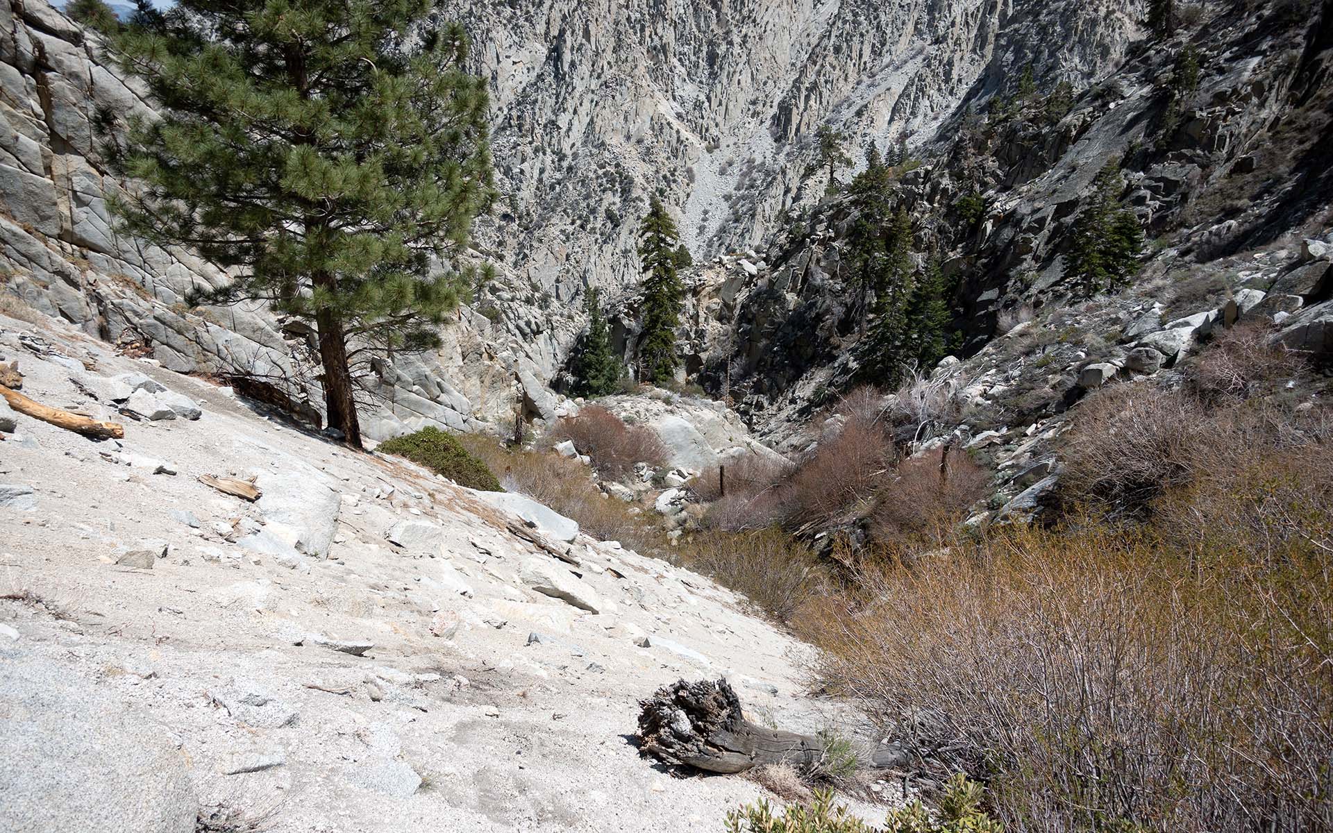 Division Creek drainage, California Sierra