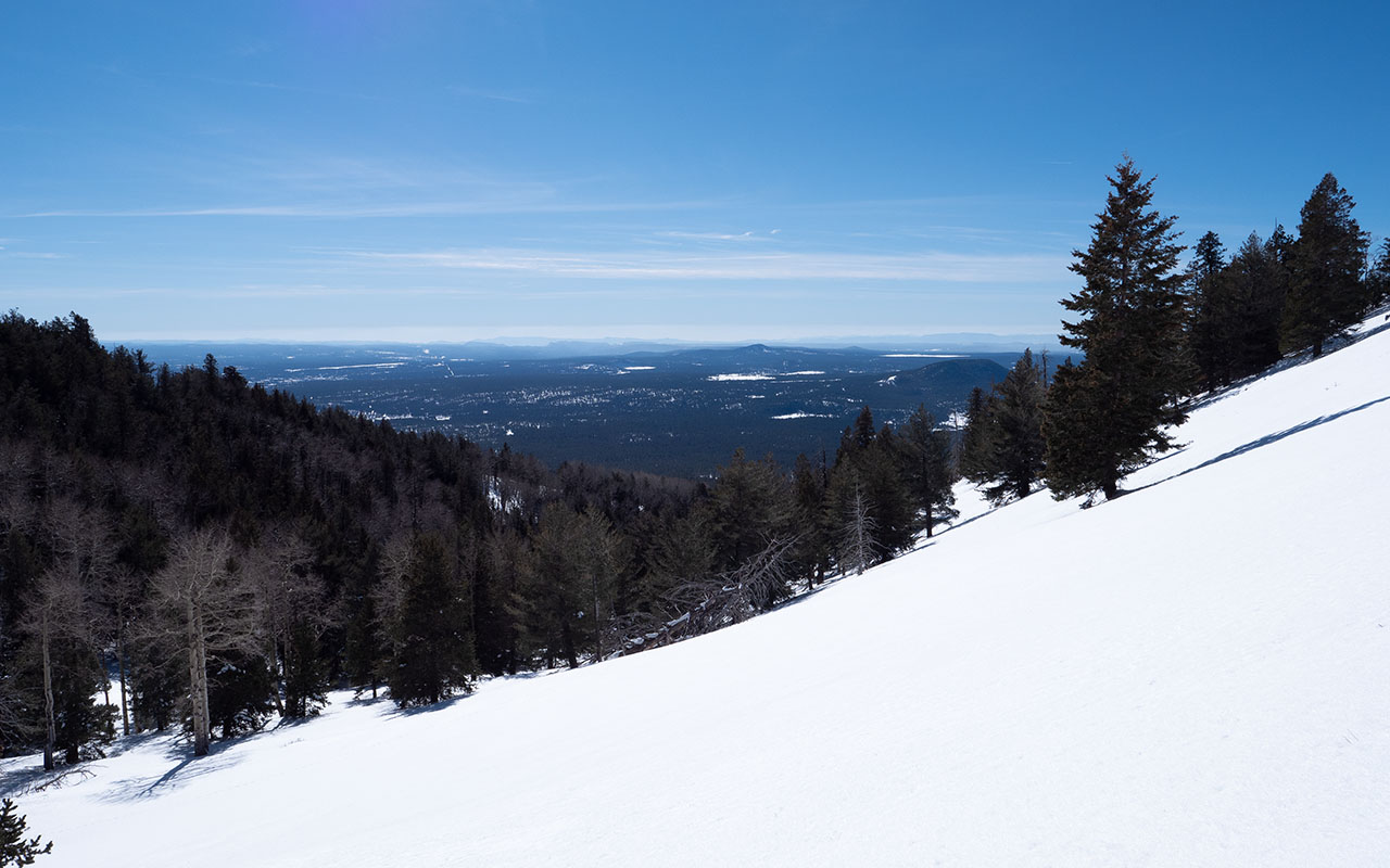 San Francisco Peaks - Freidlein Prairie