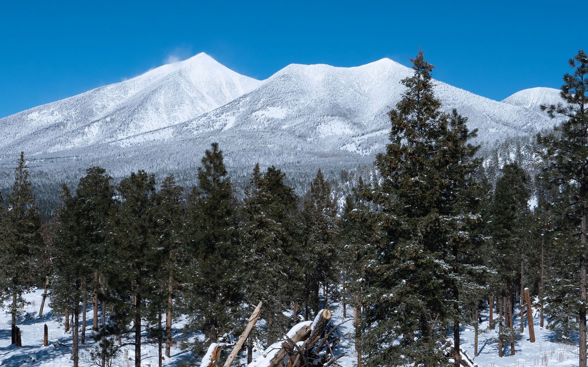 Snowy San Francisco Peaks from Dry Lakes Hills
