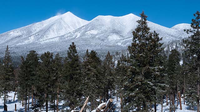 Snowy San Francisco Peaks from Dry Lakes Hills