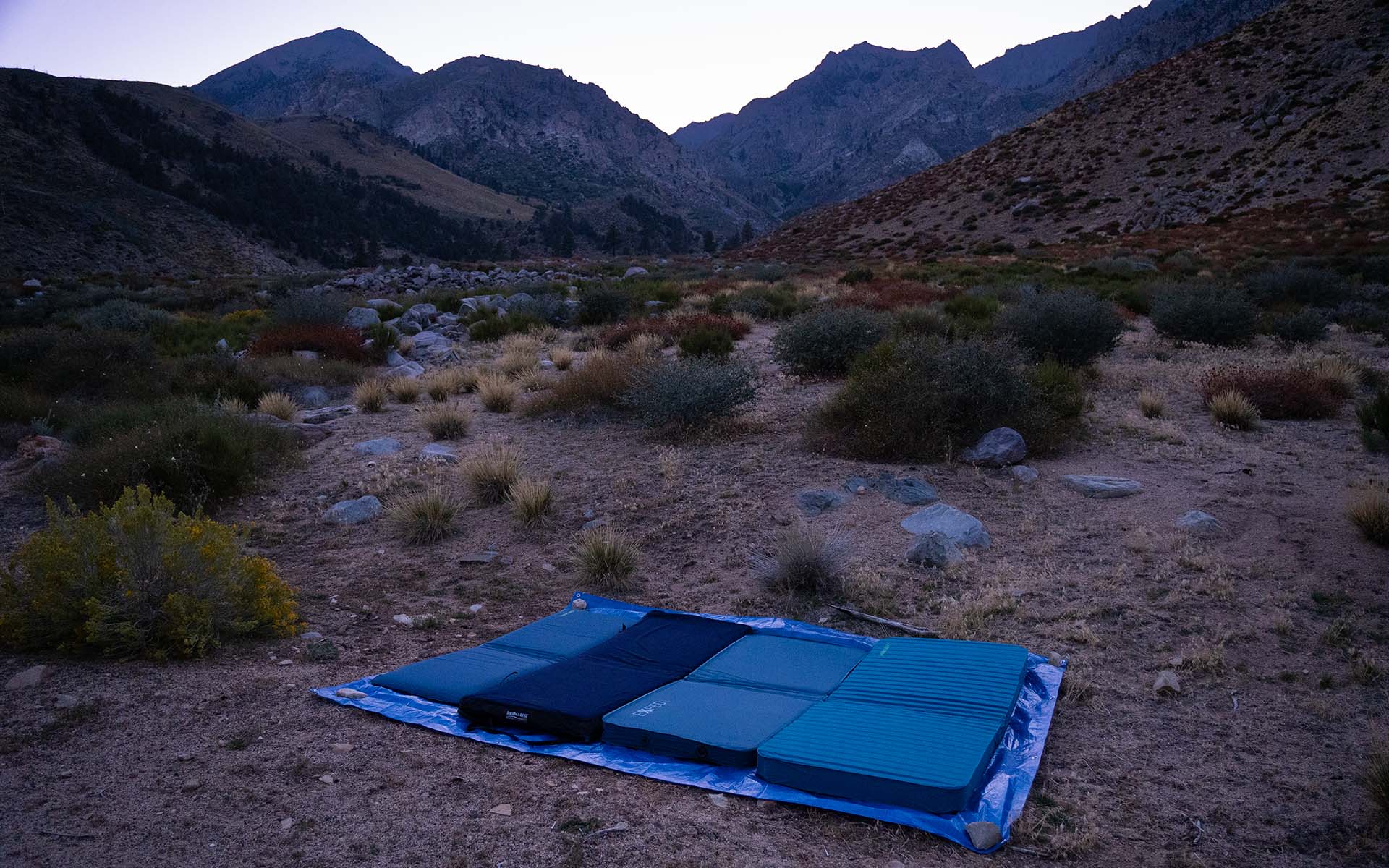 Basecamp Pad review roundup