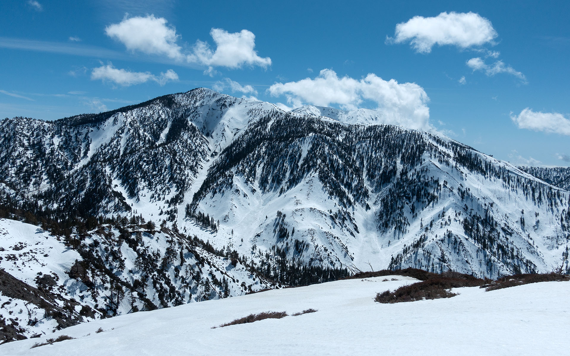 The complex avalanche terrain on Pine Mountain's north face