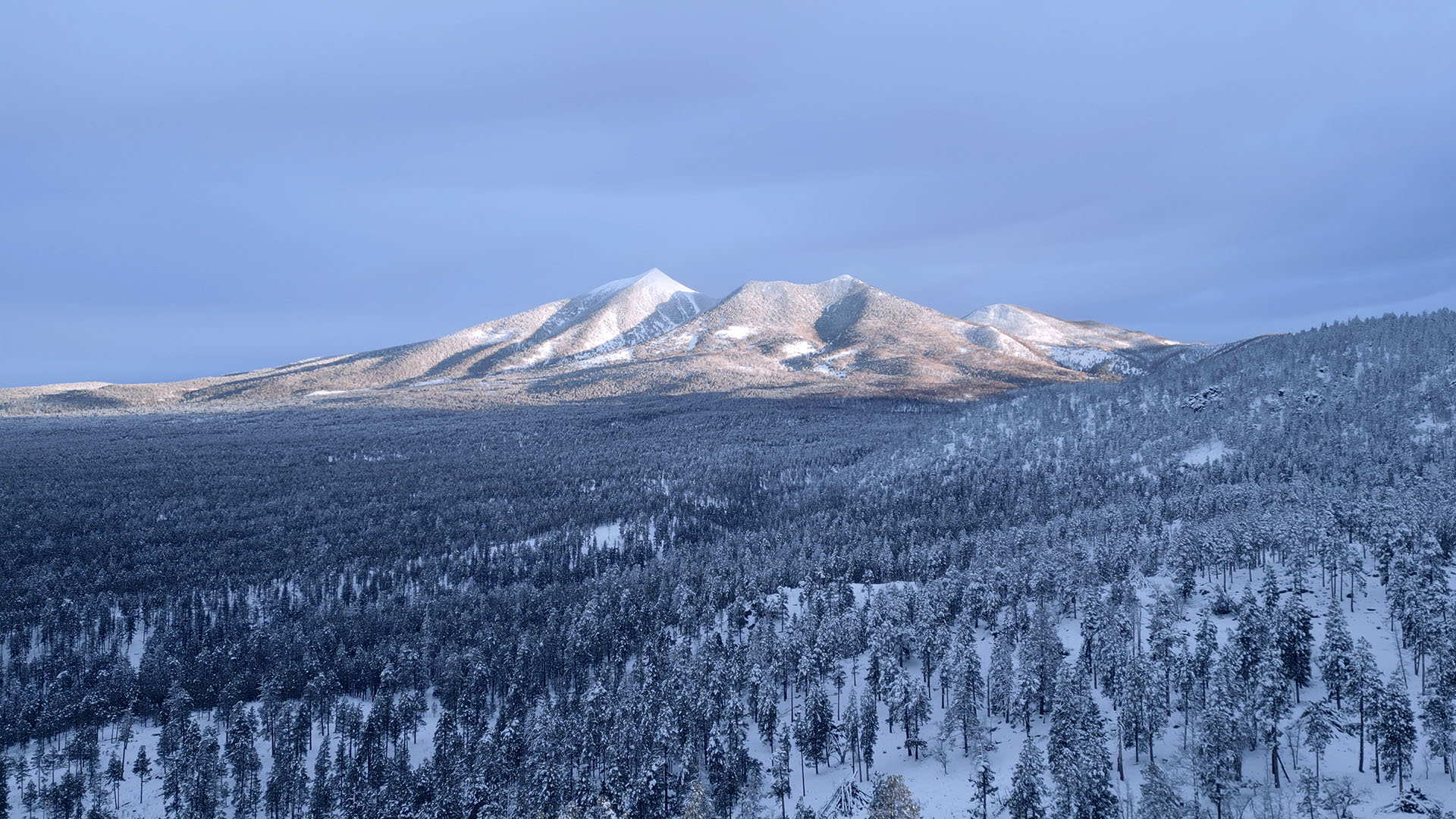 Aerial view of the San Francisco Peaks from near Brookbank Mountain
