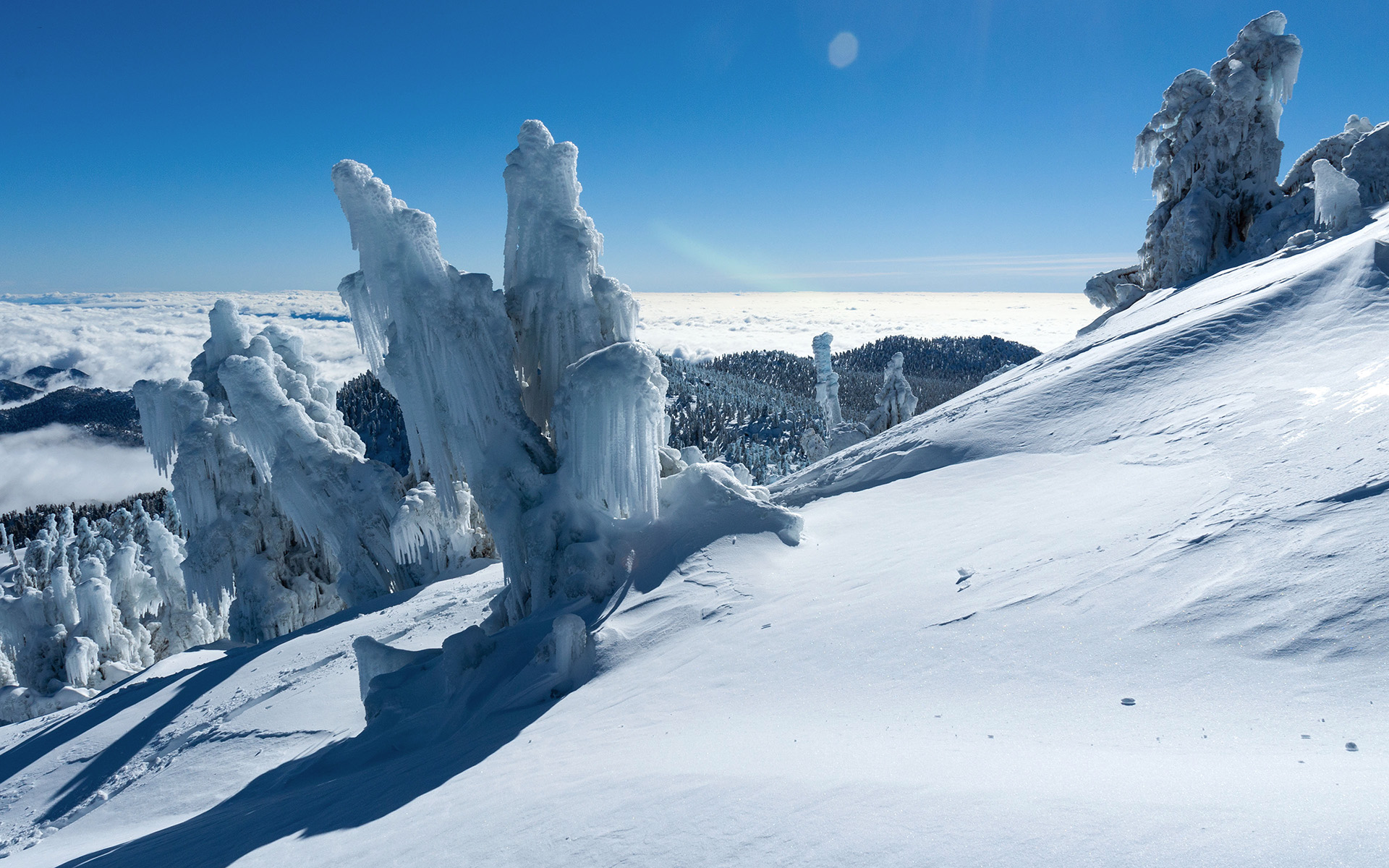 Extraordinary Ice Atop San Jacinto Peak, California