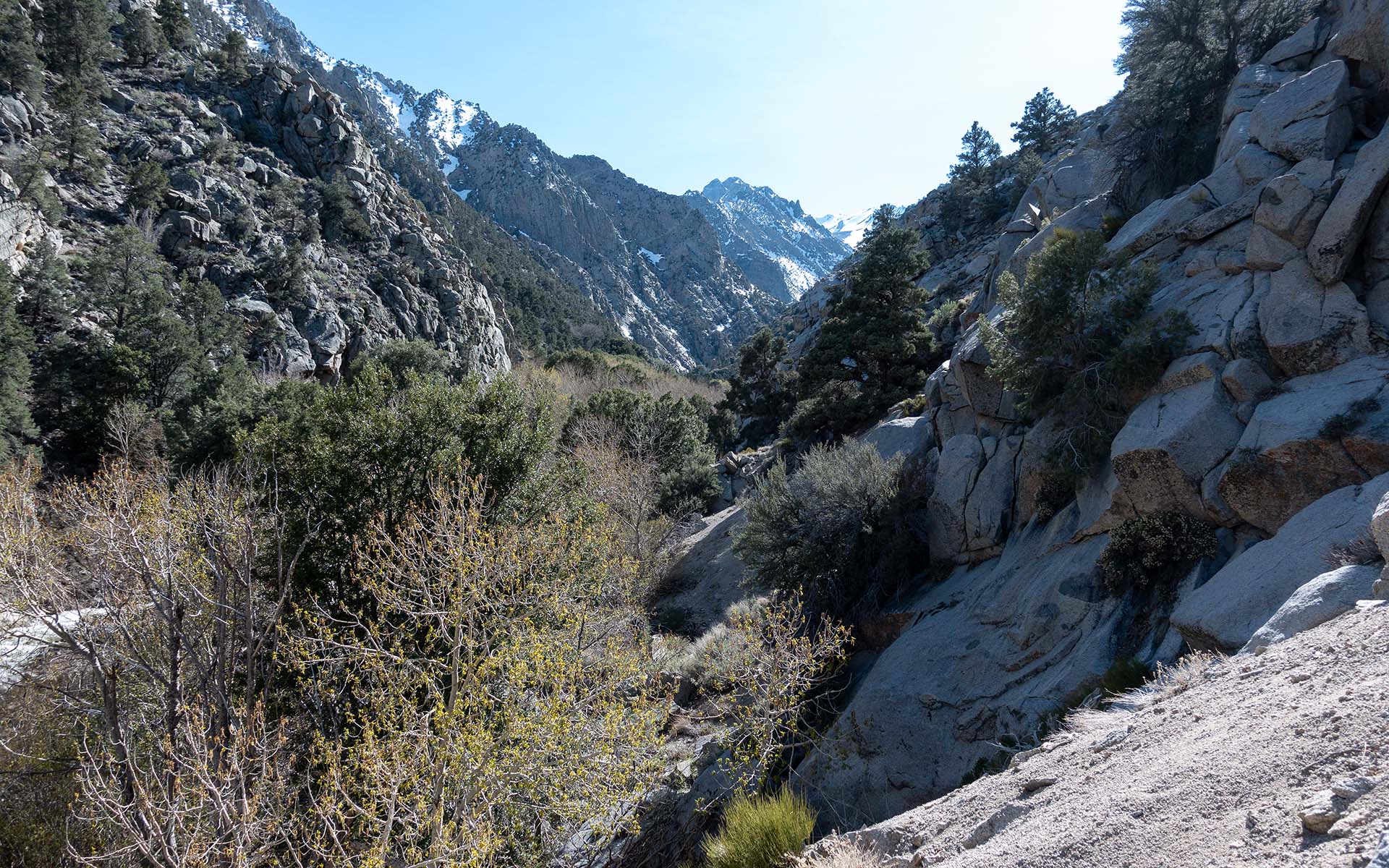 Start of the Williamson/Shepherd Creek Drainage