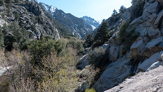 Start of the Williamson/Shepherd Creek Drainage