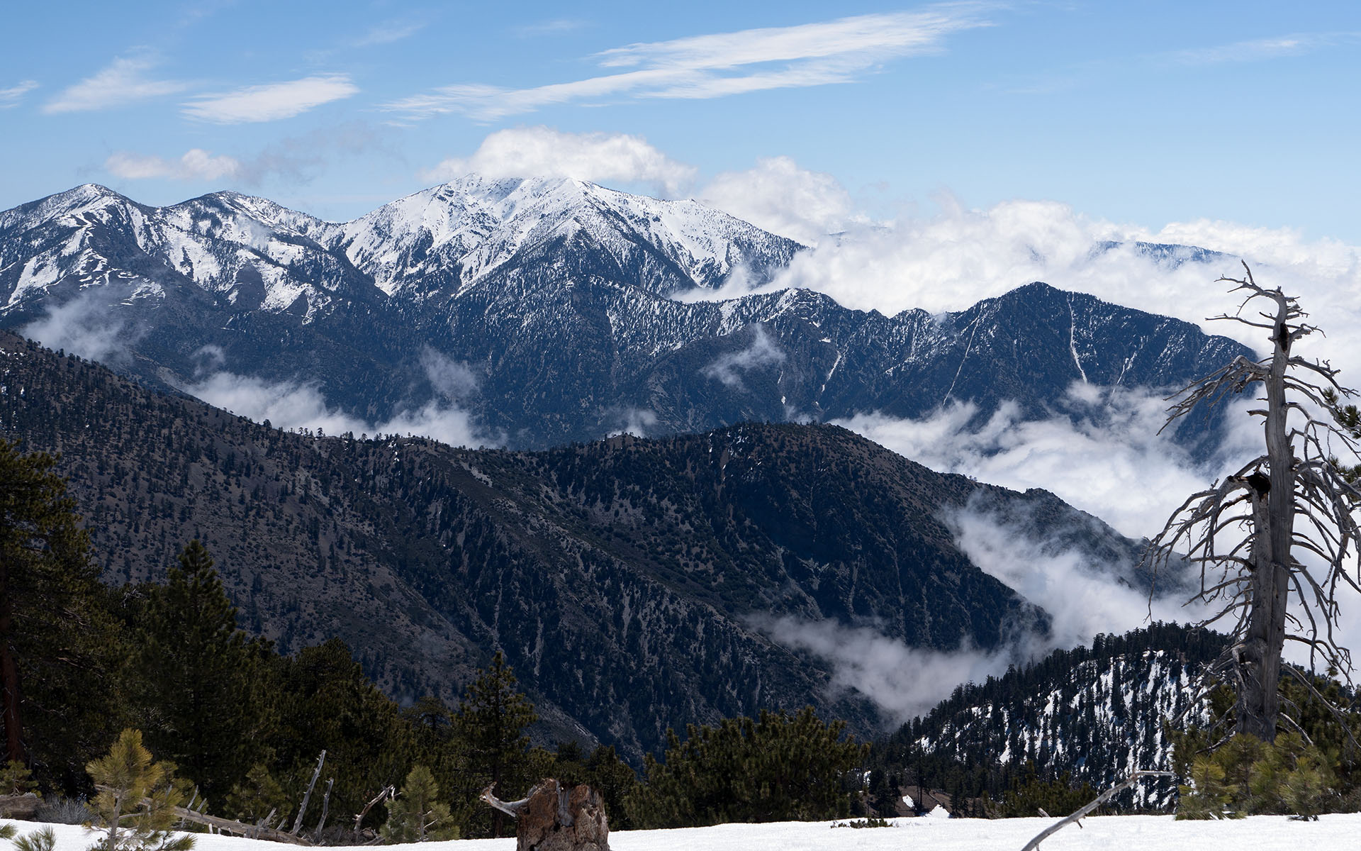 Mount Baldy's north face from Throop Peak