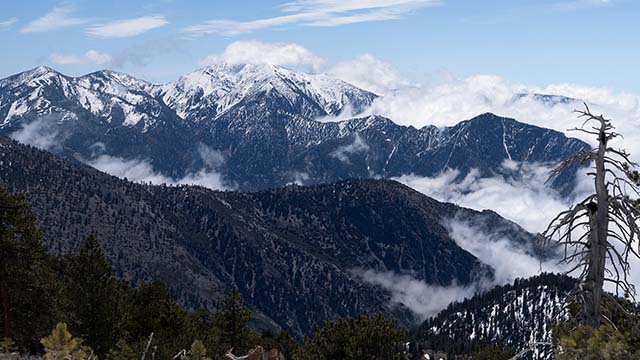Mount Baldy's north face from Throop Peak