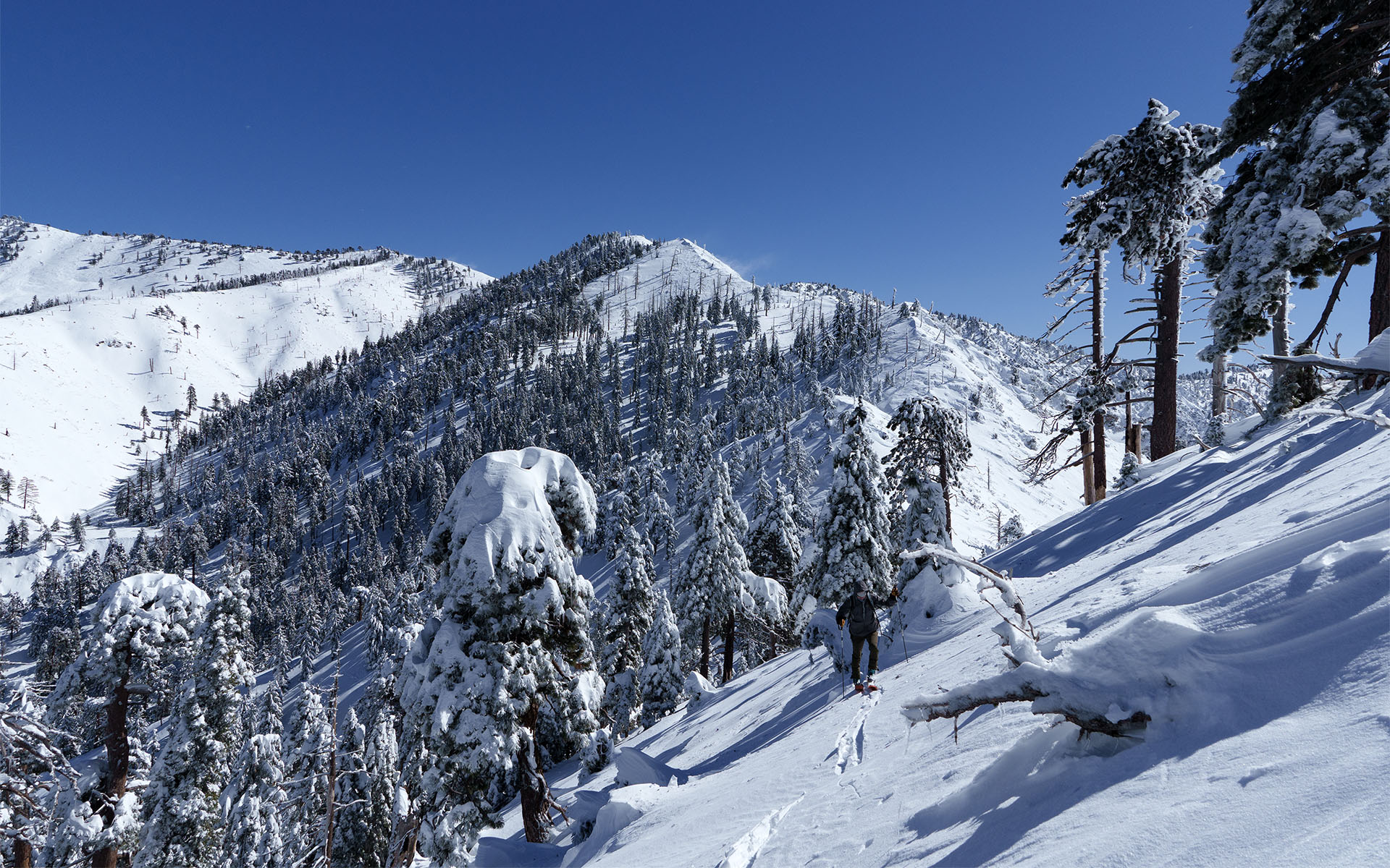 Dave Braun ascending Mount Islip from Windy Gap