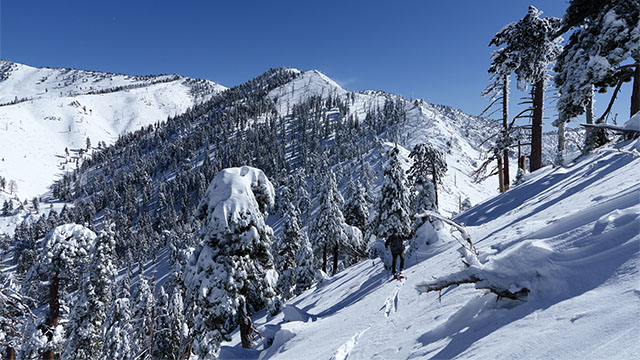 Dave Braun ascending Mount Islip from Windy Gap