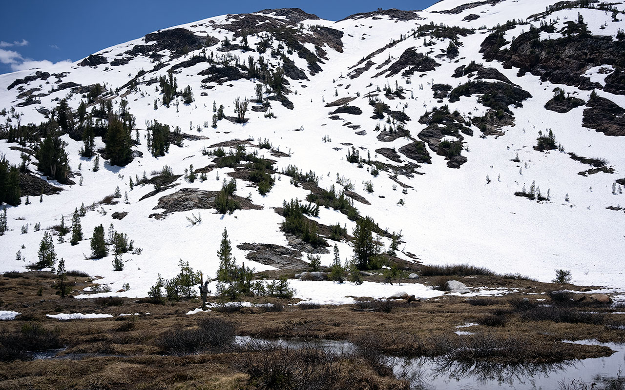 False White - East Gullies
