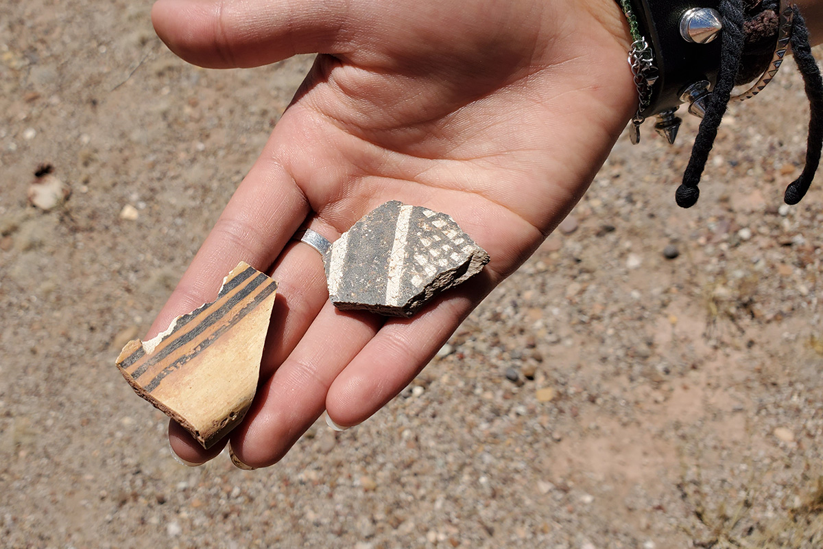 Pottery Fragments
