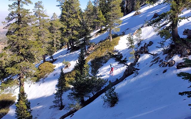 Matt Dixon skiing Throop Peak's North Face, Oct 2025