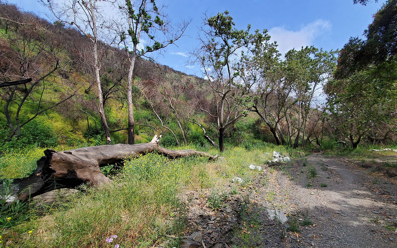 Sullivan Canyon