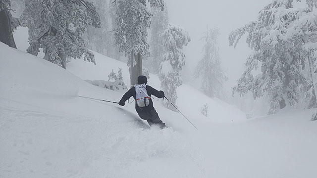 The Throoping Will Continue...