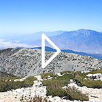 San Gorgonio Panorama