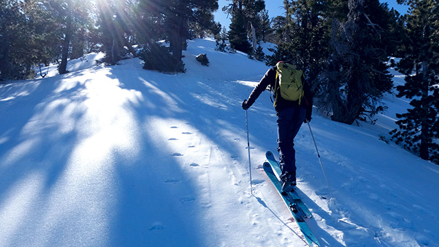 Skiing The Waterman Backcountry